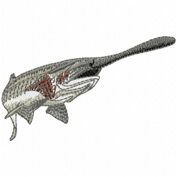 Fishes Embroidery Design 1 Fishes Embroidery Design 1